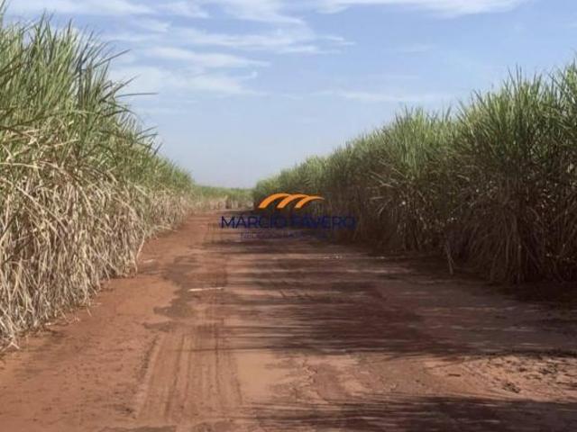 Sítio e chácara venda em Barretos