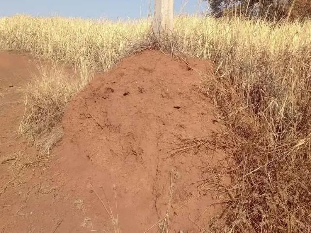 Fazenda venda em Região Imediata de Barretos, Barretos