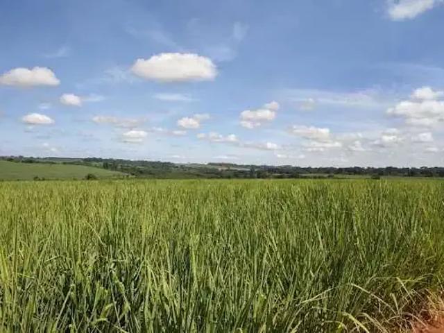 Fazenda venda em Região Imediata de Barretos, Barretos