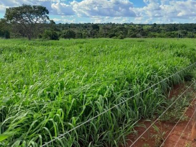 Sítio e chácara venda em Região Geográfica Imediata de Ceres - Rialma - Goianésia, Barro Alto