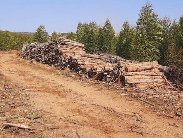 Sítio e chácara venda em Região Geográfica Imediata de Barbacena, Barroso