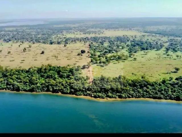 Fazenda venda em Região Geográfica Imediata de Três Lagoas, Bataguassu