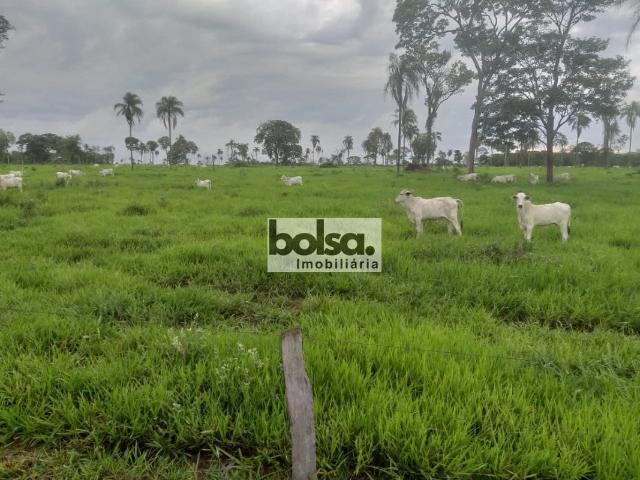 Fazenda venda em Bataguassu, Região Geográfica Intermediária de Campo Grande