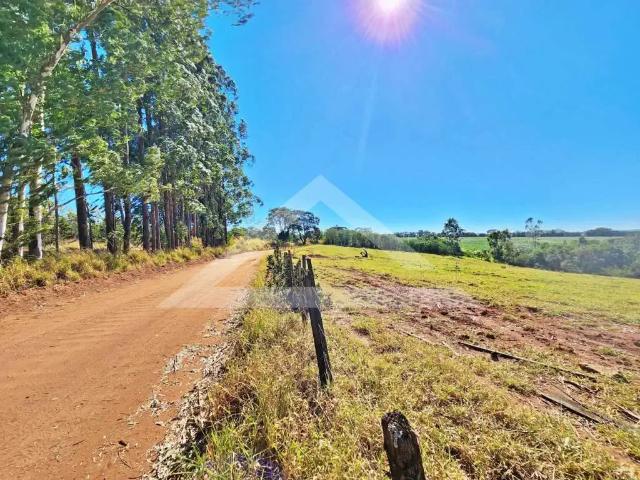 Fazenda venda em Região Imediata de Ribeirão Preto, Região Metropolitana de Ribeirão Preto