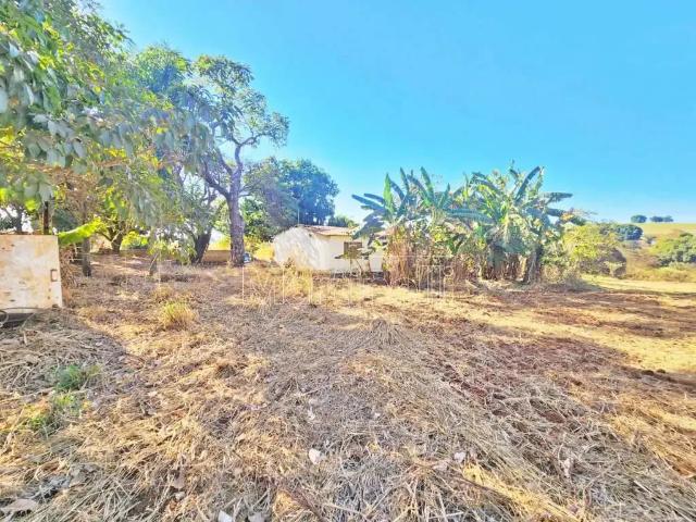 Fazenda venda em Região Imediata de Ribeirão Preto, Região Metropolitana de Ribeirão Preto