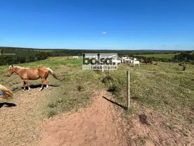 Fazenda venda em Região Imediata de Bauru, Bauru