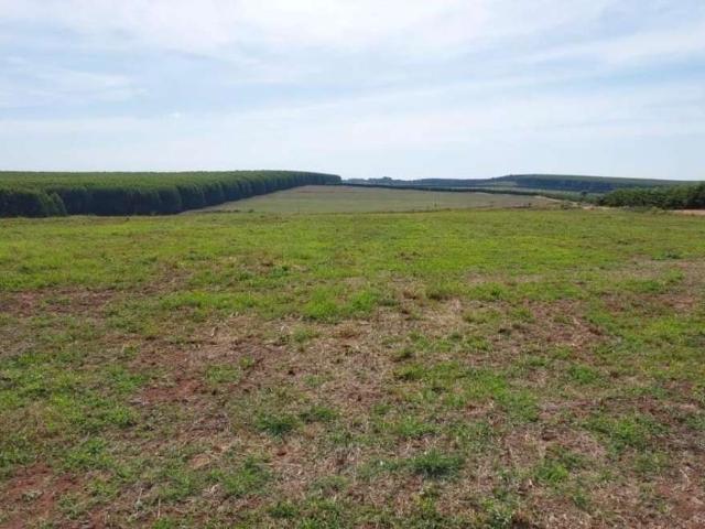 Fazenda venda em Região Geográfica Imediata de Pouso Alegre, Ouro Fino