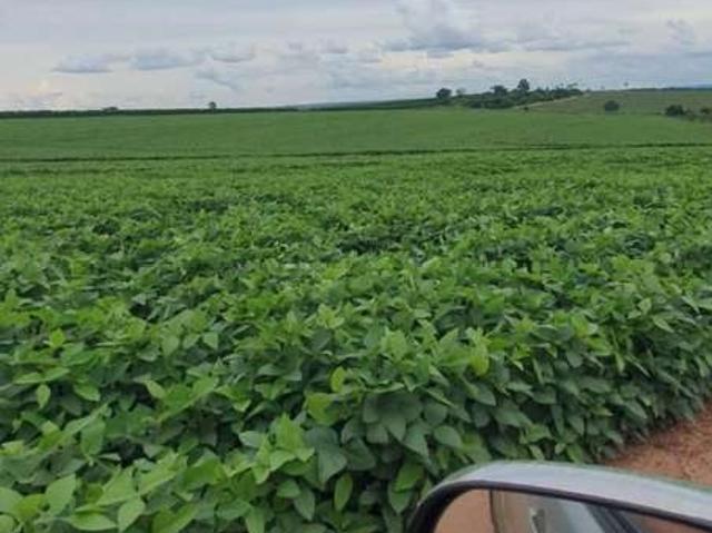 Fazenda venda em Região Geográfica Imediata de Pouso Alegre, Ouro Fino