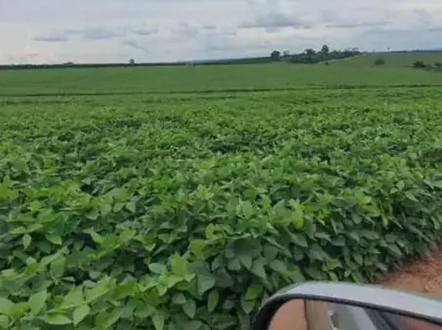 Fazenda venda em Região Geográfica Imediata de Pouso Alegre, Ouro Fino