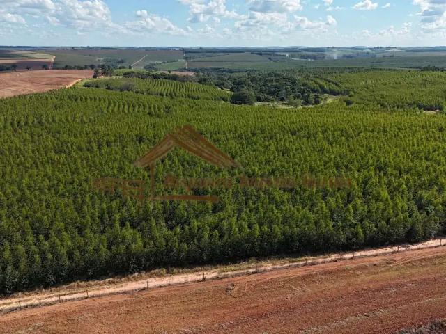 Fazenda venda em Região Imediata de Avaré, Avaré