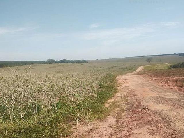 Fazenda venda em Jardim Contorno, Bauru