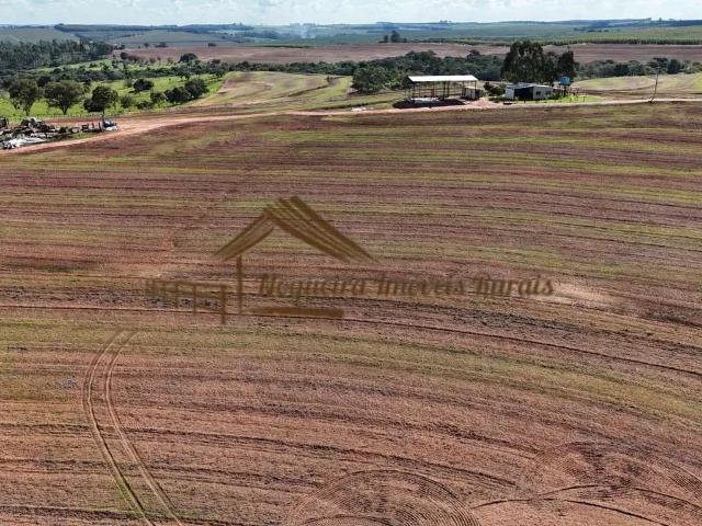 Fazenda venda em Região Imediata de Avaré, Avaré