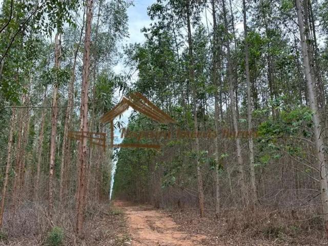 Fazenda venda em Região Imediata de Bauru, Bauru
