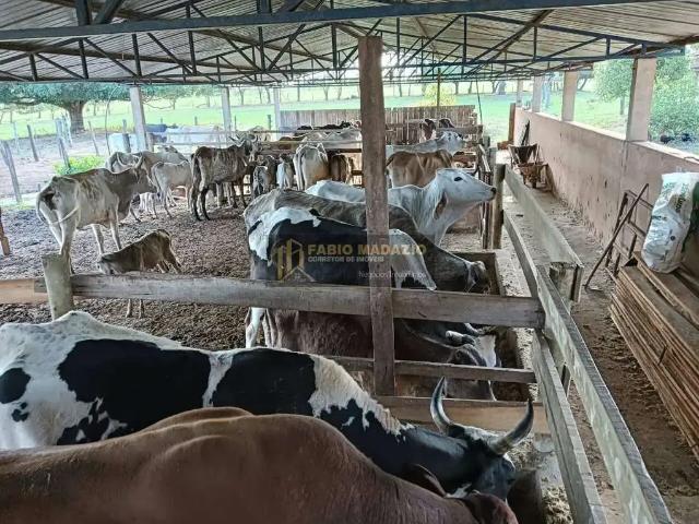 Fazenda venda em Região Imediata de Bauru, Bauru