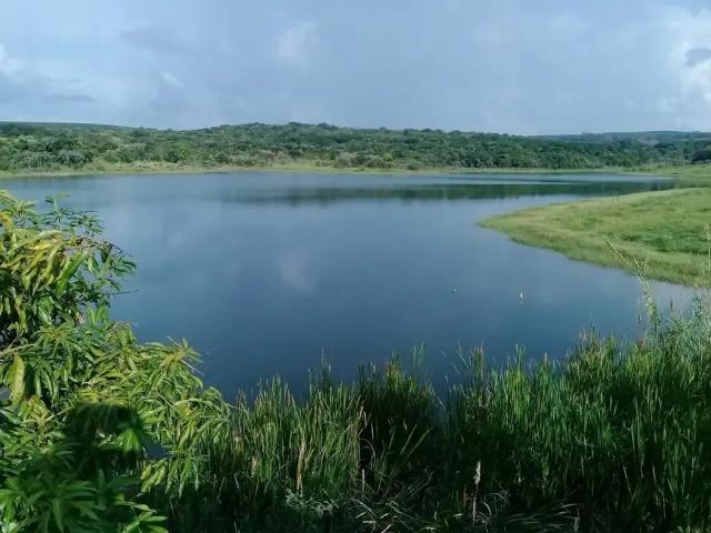 Fazenda venda em Região Imediata de Avaré, Iaras