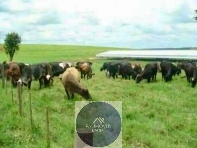 Fazenda venda em Região Imediata de Bauru, Bauru