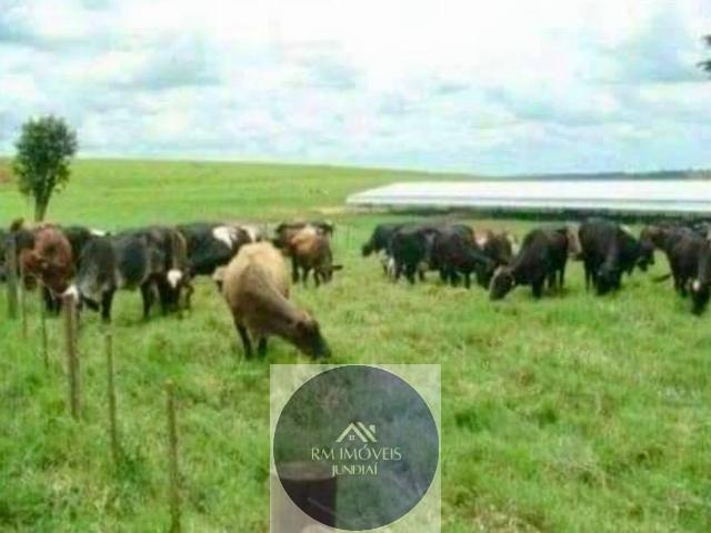 Fazenda venda em Bauru