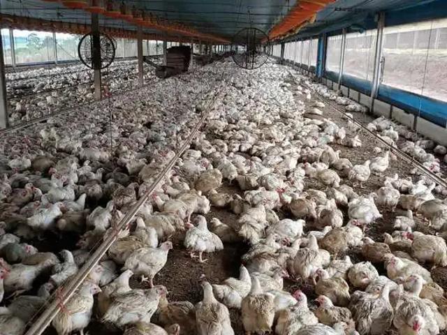 Fazenda venda em Região Imediata de Bauru, Bauru