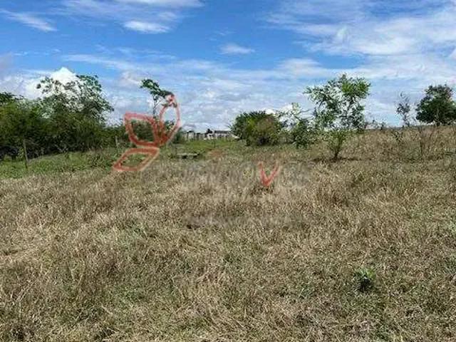 Fazenda venda em Bauru, Região Geográfica Intermediária de Bauru