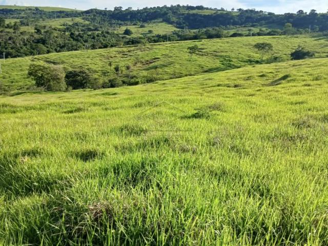 Fazenda venda em Bauru, Região Geográfica Intermediária de Bauru