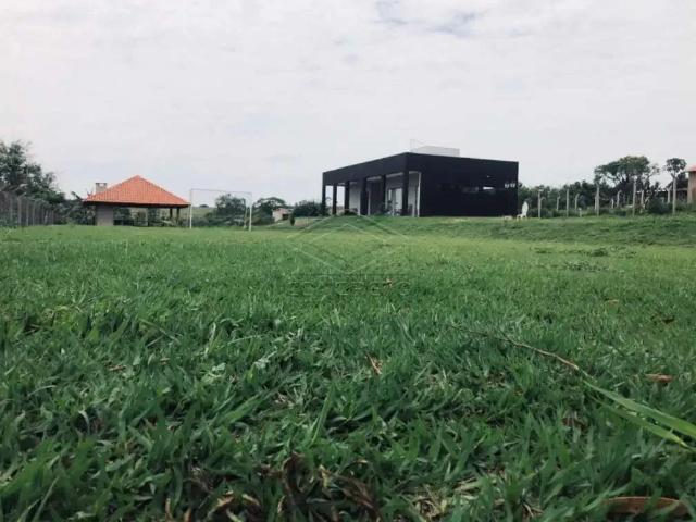Fazenda venda em Região Imediata de Bauru, Pederneiras