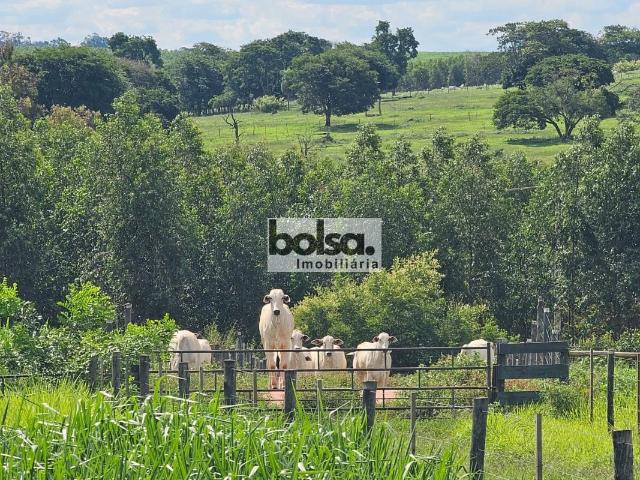 Fazenda venda em Bauru, Região Geográfica Intermediária de Bauru