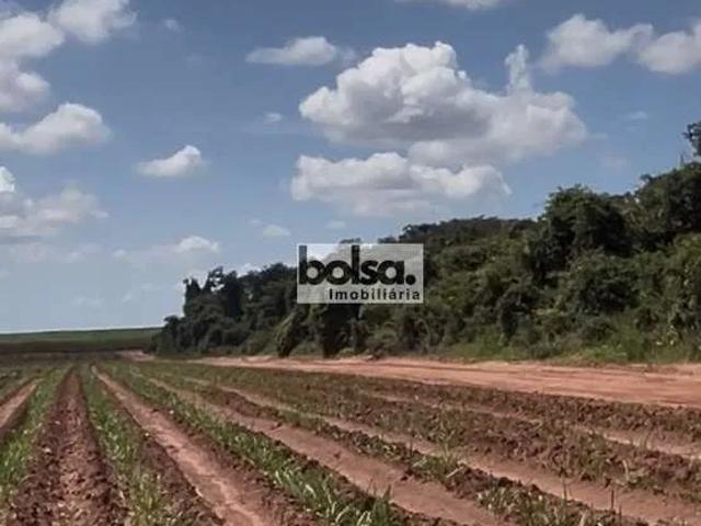 Fazenda venda em Bauru, Região Geográfica Intermediária de Bauru