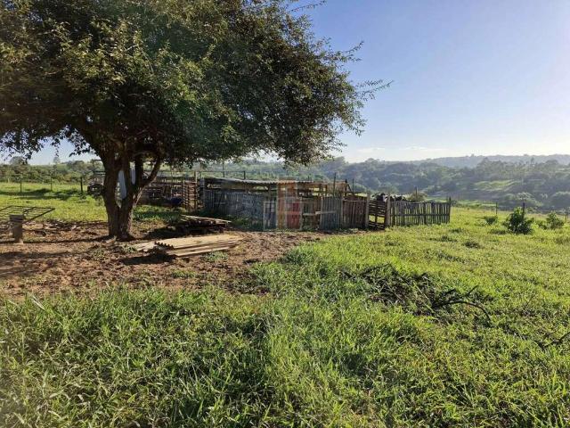 Fazenda venda em Bauru, Região Geográfica Intermediária de Bauru