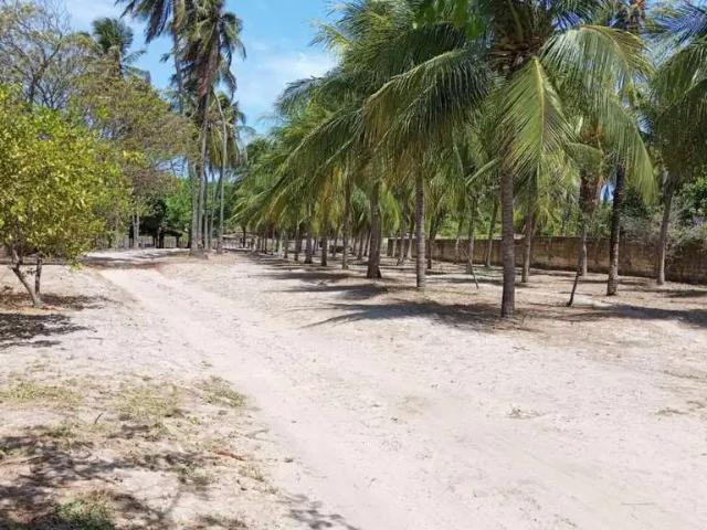 Fazenda venda em Região Geográfica Imediata de Fortaleza, Beberibe