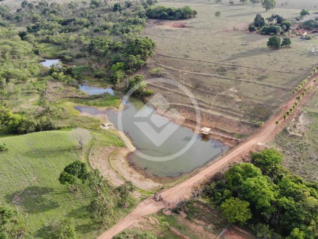 Fazenda venda em Bela Vista de Goiás, Região Geográfica Intermediária de Goiânia