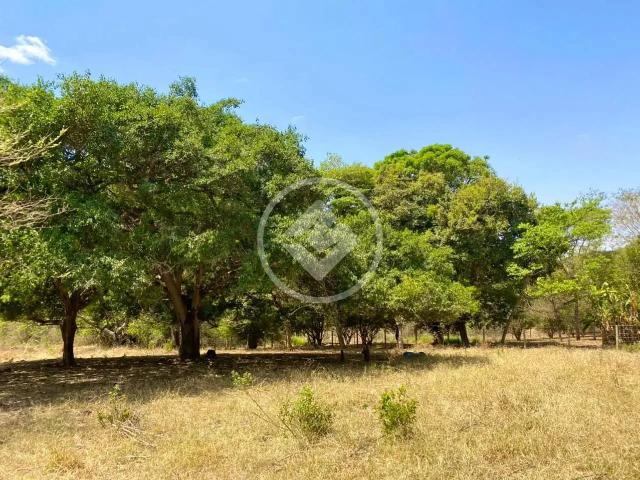 Fazenda venda em Setor Dona Benedita, Bela Vista de Goiás