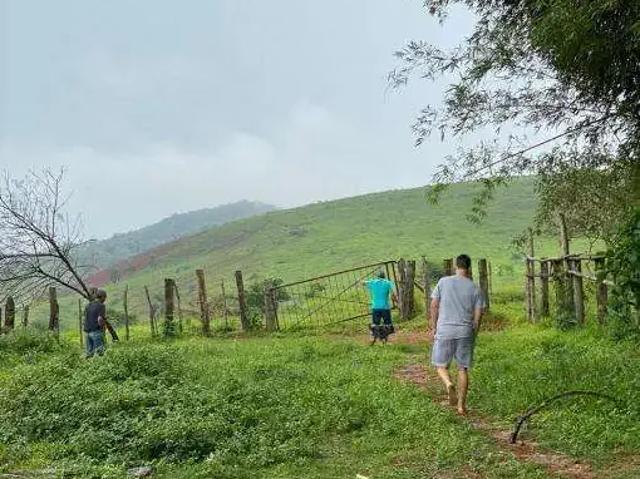 Fazenda venda em Região Geográfica Imediata de João Monlevade, Bela Vista de Minas