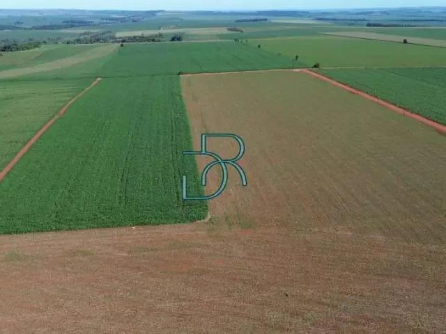 Fazenda venda em Região Geográfica Imediata de Londrina, Bela Vista do Paraíso