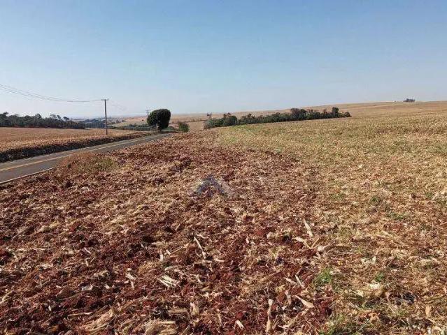 Fazenda venda em Região Geográfica Imediata de Londrina, Primeiro de Maio