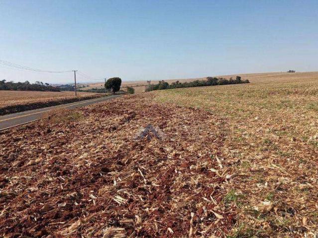 Fazenda venda em Mãe tina, Bela Vista do Paraíso