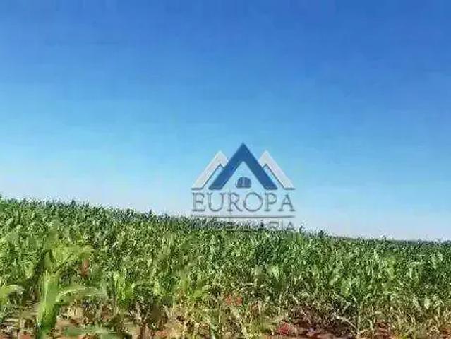 Fazenda venda em Região Geográfica Imediata de Londrina, Primeiro de Maio