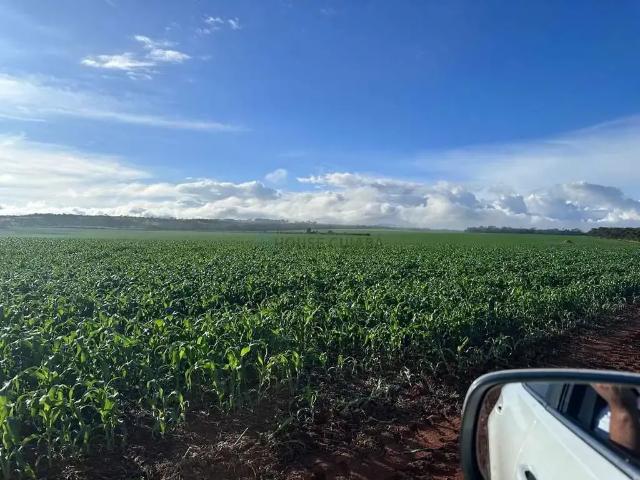 Fazenda venda em Região Geográfica Imediata de Belém, Belém