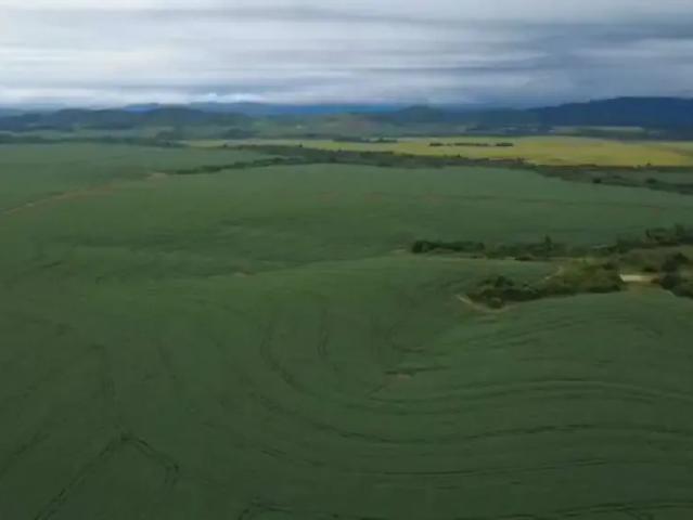 Fazenda venda em Região Geográfica Imediata de Belém, Belém