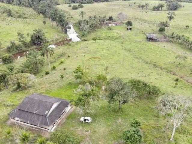 Fazenda venda em Região Geográfica Imediata de Eunápolis - Porto Seguro, Belmonte