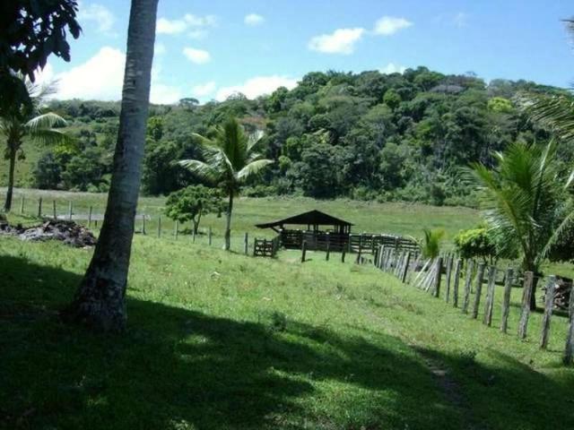 Fazenda venda em Região Geográfica Imediata de Eunápolis - Porto Seguro, Belmonte