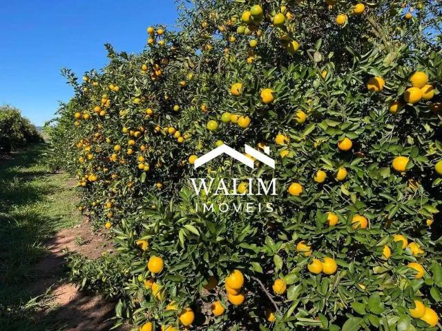 Fazenda venda em Região Geográfica Imediata de Belo Horizonte, Região Metropolitana de Belo Horizonte