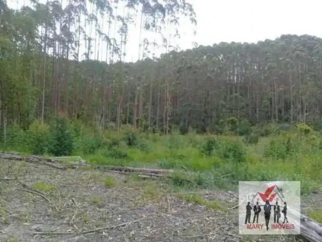 Fazenda venda em Região Geográfica Imediata de Belo Horizonte, Região Metropolitana de Belo Horizonte