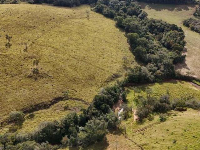 Sítio e chácara venda em Belo Vale, Região Geográfica Intermediária de Divinópolis