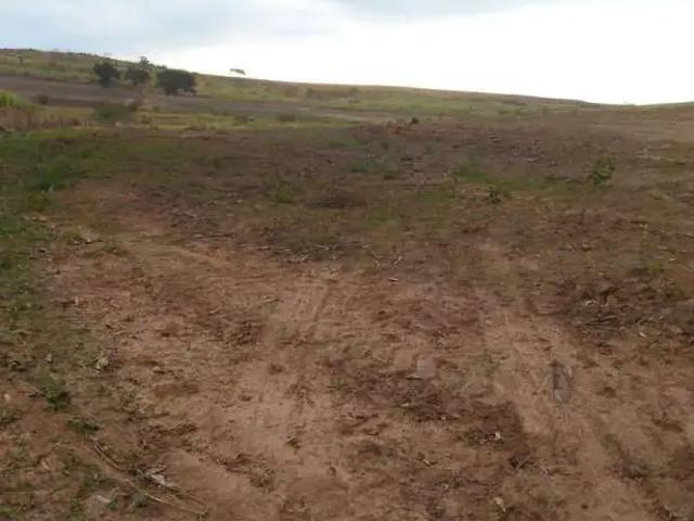 Fazenda venda em Região Imediata de Araçatuba, Bento de Abreu