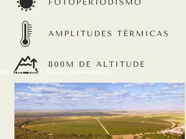 Sítio e chácara venda em Região Geográfica Imediata de Salinas, Berizal