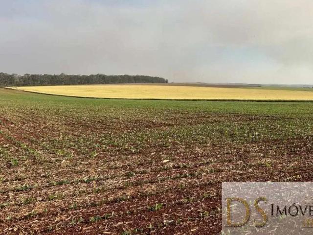 Fazenda venda em Região Imediata de Ourinhos, Bernardino de Campos