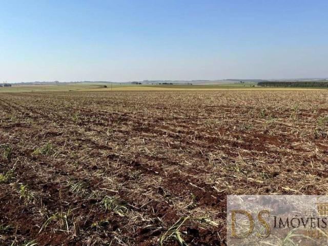 Fazenda venda em Região Imediata de Ourinhos, Bernardino de Campos