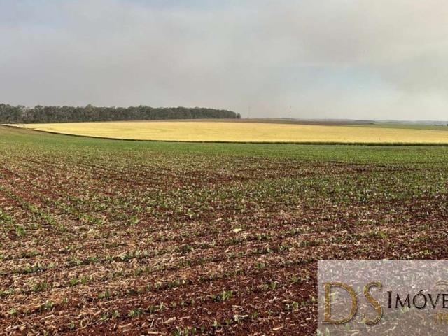 Fazenda venda em Região Imediata de Ourinhos, Bernardino de Campos