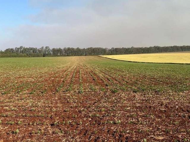 Fazenda venda em Região Imediata de Ourinhos, Bernardino de Campos