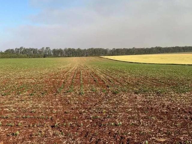 Fazenda venda em Região Imediata de Ourinhos, Bernardino de Campos